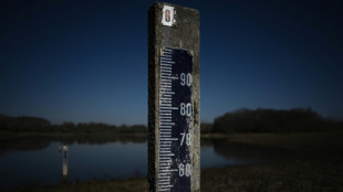 Un rapport gouvernemental appelle &agrave; un "changement radical" dans la gestion des futures s&eacute;cheresses