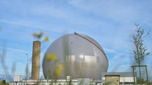 Frankreich will Genehmigungsverfahren f&uuml;r Bau neuer Atomkraftwerke beschleunigen