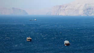 Teheran, 'se le coste saranno attaccate, mineremo tutto il Golfo Persico'