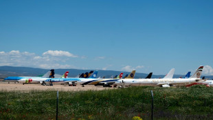 Aerol&iacute;neas de Oriente Medio resguardan sus aviones en Espa&ntilde;a por la guerra