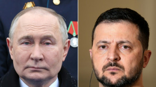 Zelenski desea que Trump est&eacute; en posibles negociaciones con Rusia en Turqu&iacute;a