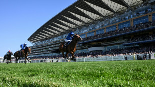 Ombudsman gives Gosden another International, Derby hero Lambourn loses