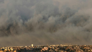 Inc&ecirc;ndios florestais deixam 19 mortos e grande destrui&ccedil;&atilde;o em regi&atilde;o tur&iacute;stica do Chile