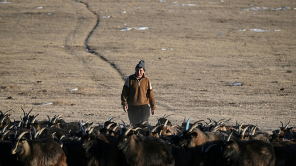 Dans les steppes de Mongolie, le climat d&eacute;r&eacute;gl&eacute; pousse les bergers &agrave; bout