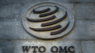 US appeals WTO ruling in dispute by China over clean energy subsidies