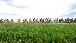 Pidcock sprints to snap up Amstel Gold victory