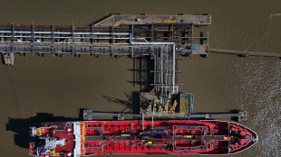 Il petrolio chiude in rialzo a New York a 95,09 dollari