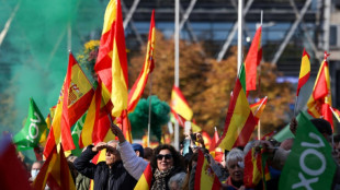 Extrema direita chega ao poder em v&aacute;rias cidades espanholas
