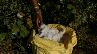 Grandes marcas utilizan algod&oacute;n de campos en India que emplean a ni&ntilde;os, denuncia una oeneg&eacute;