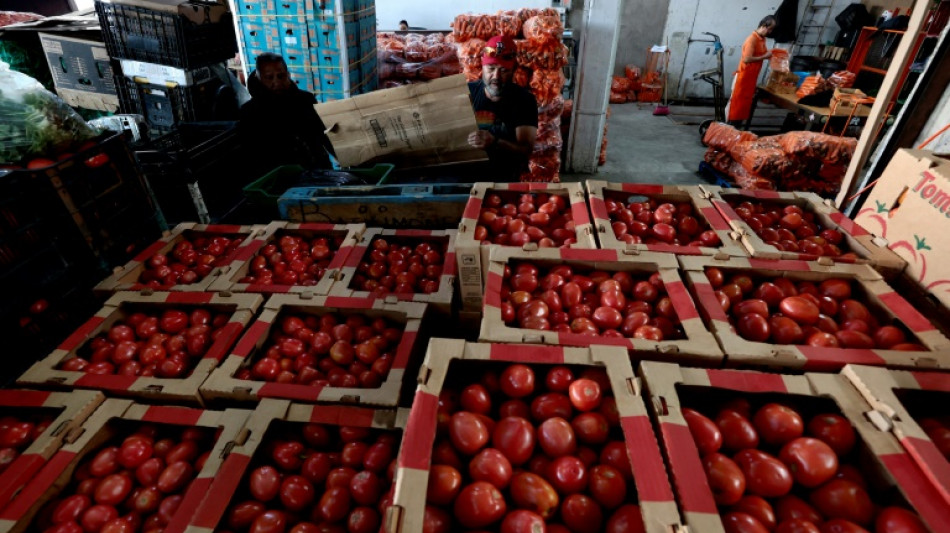 M&eacute;xico busca di&aacute;logo con EEUU sobre aranceles al tomate 