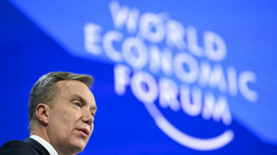 Foro de Davos investiga los v&iacute;nculos de su director ejecutivo con Epstein