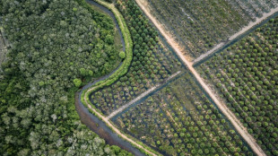 EU proposes new delay to anti-deforestation rules