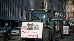 Bauern protestieren erneut in zahlreichen europ&auml;ischen L&auml;ndern