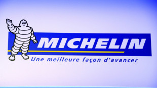 Michelin restitue "volontairement" 4,3 millions d'euros &agrave; l'Etat
