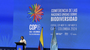 Biodiversit&eacute;: &agrave; Cali, une COP16 pour passer de la parole aux actes