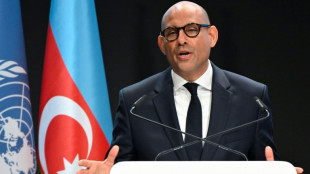 COP29: les n&eacute;gociations tendues, avant le G20 et l'arriv&eacute;e des ministres