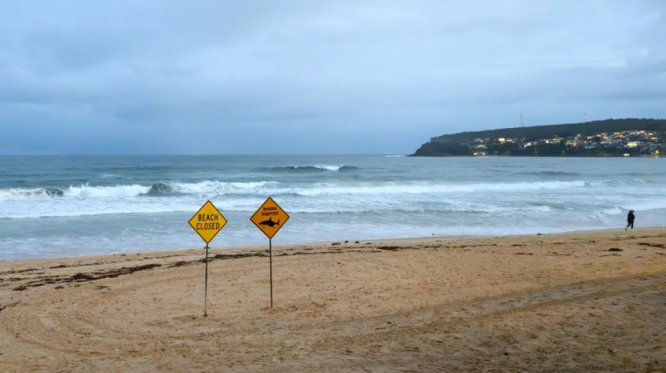 Un hombre hospitalizado tras un ataque de tibur&oacute;n en Australia