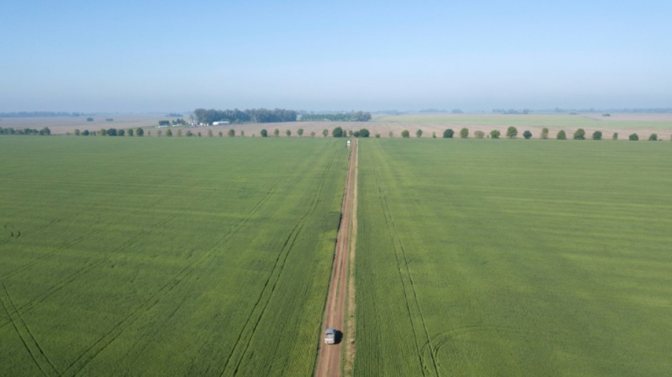 Argentina suspende la exportaci&oacute;n de harina y aceite de soja