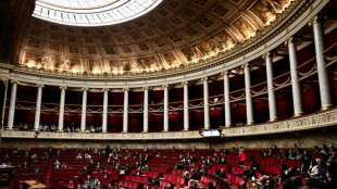 Zucman, patrimoine et retraites, "journ&eacute;e majeure" vendredi &agrave; l'Assembl&eacute;e