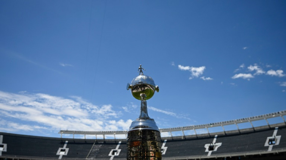 Copa Libertadores: finale 100% br&eacute;silienne entre Botafogo et l'Atl&eacute;tico Mineiro