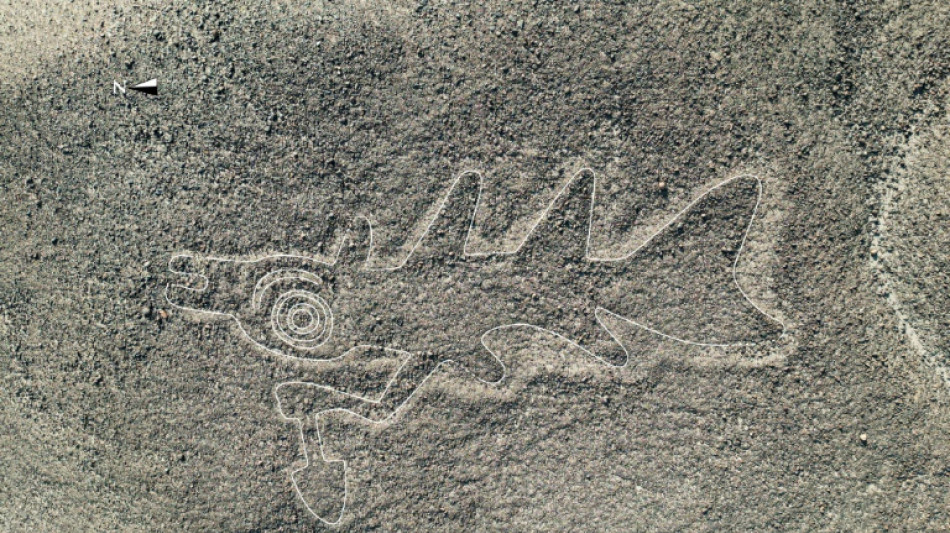 Governo do Peru defende redu&ccedil;&atilde;o de reserva arqueol&oacute;gica das Linhas de Nazca