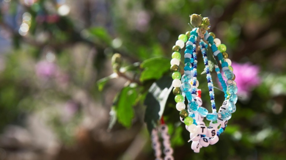 Alemania acusa a un joven sirio de complicidad en el atentado fallido en conciertos de Taylor Swift