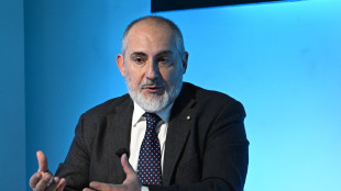 Pnrr: Donnarumma, gi&agrave; spesi 13 miliardi, entro l'anno oltre 18