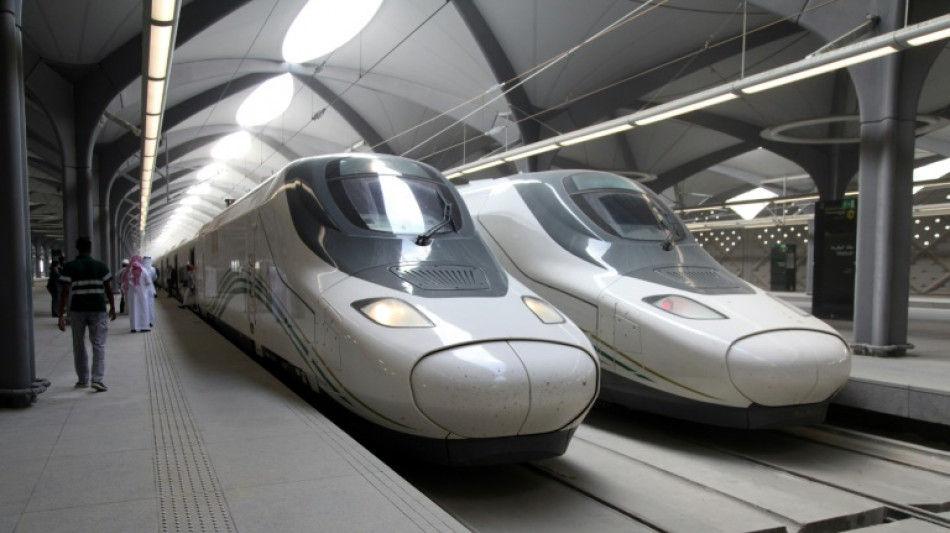 Madrid blockiert &Uuml;bernahme von Zughersteller Talgo durch ungarisches Konsortium 