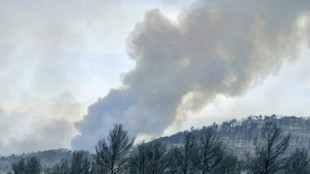 Um morto e nove feridos em grande incêndio florestal na França