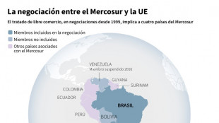 Los desaf&iacute;os del acuerdo UE-Mercosur negociado durante 25 a&ntilde;os