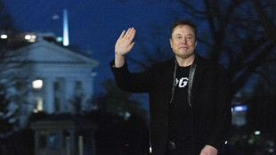 Tesla +4,5% a Wall Street, rumors su uscita Musk dal governo