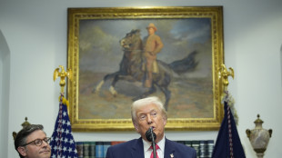 Trump, guerra ucraina un disastro, non facile da risolvere