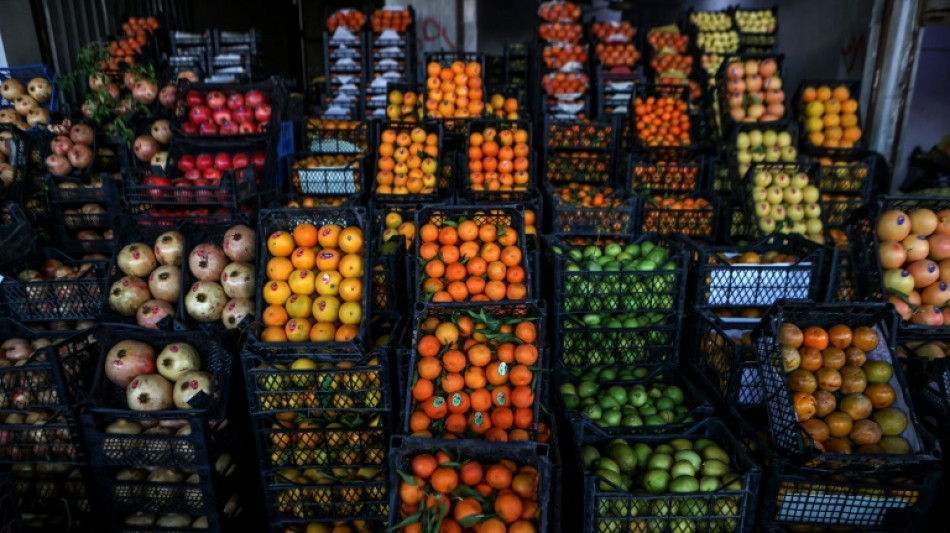 Zollbeamte entdecken in Stuttgart fast 70 Kilogramm Obst in Reisegep&auml;ck