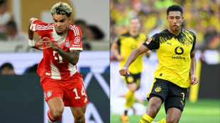 Allemagne: m&ecirc;me limit&eacute;, le Bayern reste favori &agrave; sa propre succession