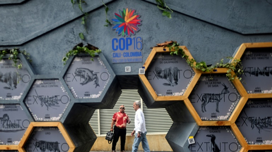 "Crisis existencial": jefe de la ONU alerta sobre la destrucci&oacute;n de la naturaleza en COP16