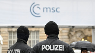 Europe defends NATO, US ties at security gathering