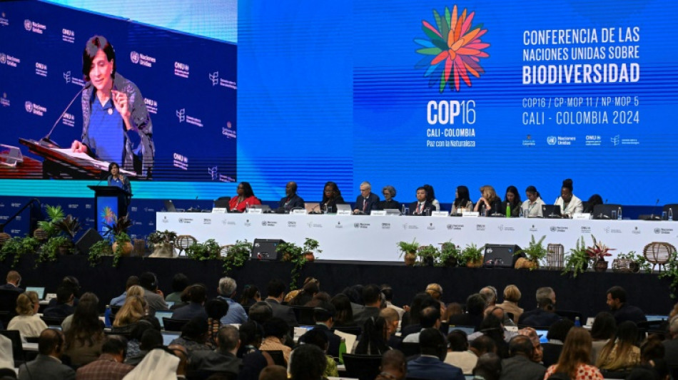 Ouverture en Colombie de la COP16 Biodiversit&eacute; 