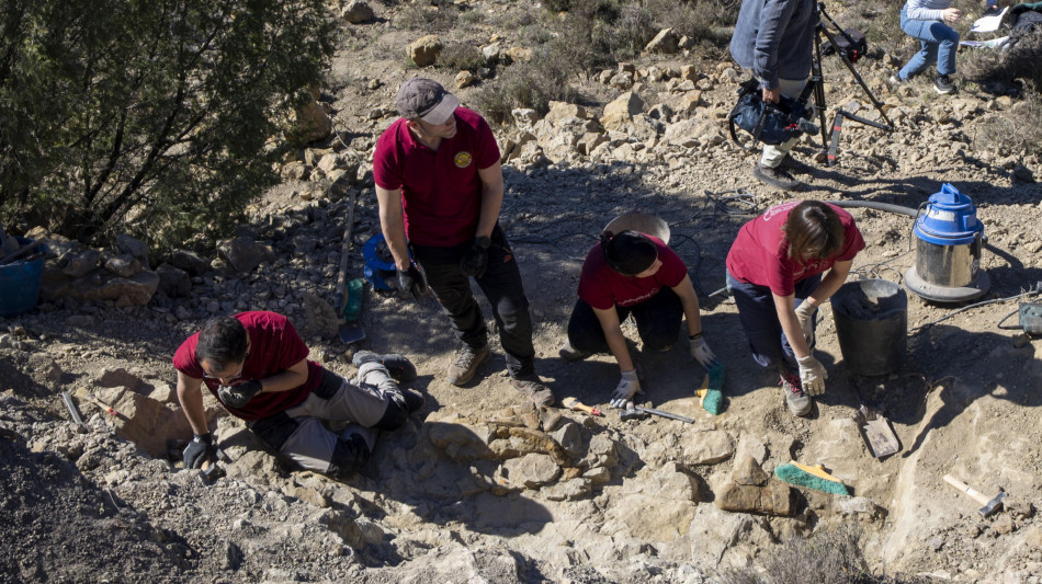 Il fossile di un rettile con piume alternative cambia la storia