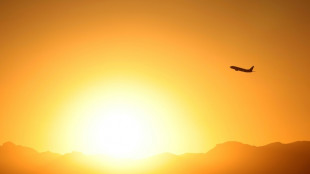 EuGH urteilt Donnerstag &uuml;ber psychische Folgen eines Flugzeugunfalls