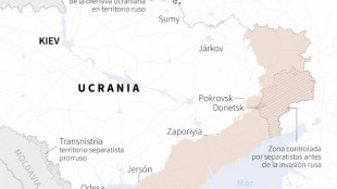 Rusia anuncia la conquista de la ciudad de Kur&aacute;jove, en el este de Ucrania