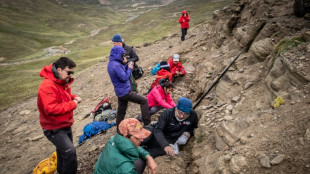 Cient&iacute;ficos encuentran cuatro tipos de dinosaurios en la Patagonia chilena