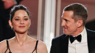 Guillaume Canet e Marion Cotillard aprendem espanhol para filme sobre seita