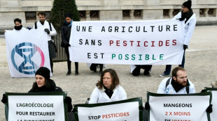 Des scientifiques organisent un cort&egrave;ge fun&egrave;bre pour les insectes &agrave; Paris