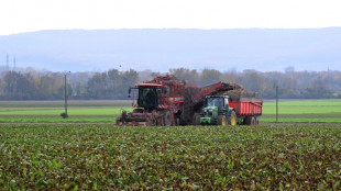 EU parliament backs Russian fertiliser tax opposed by farmers