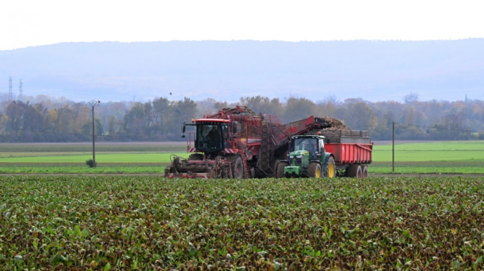 EU ready to tax Russian fertilisers from July