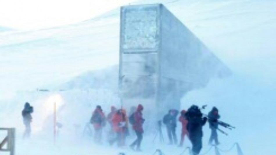 Ukraine lagert erstmals seit 2012 wieder Saatgut in Tresor auf Spitzbergen ein