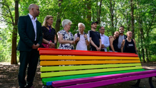 Gedenkort nach CSD-Anschlag: Regenbogenbank in Berliner Tiergarten erneut besch&auml;digt