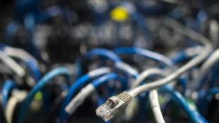 Als terroristisch eingestufte Onlineinhalte: BKA ordnet 2024 mehr Entfernungen an