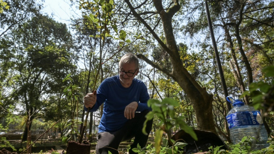 La tarea "quijotesca" de un ejecutivo brasile&ntilde;o para reverdecer al gris Sao Paulo