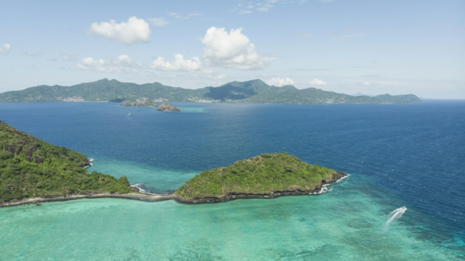 Pr&egrave;s de la moiti&eacute; des coraux du lagon de Mayotte d&eacute;truits par le cyclone Chido, selon une &eacute;tude